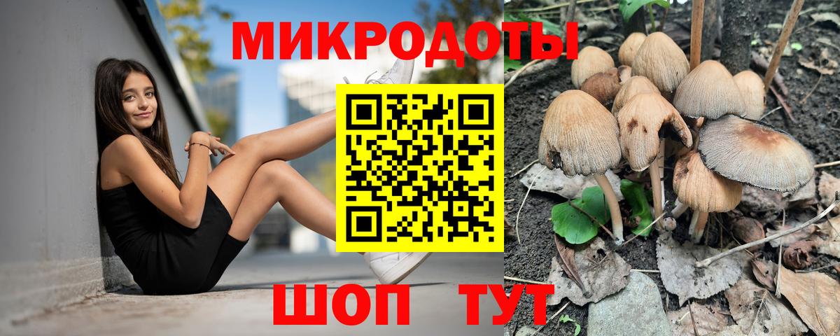 Галлюциногенные грибы мицелий  Вход с VPN  Галлюциногенные грибы GOLDEN TEACHER  Майкоп 