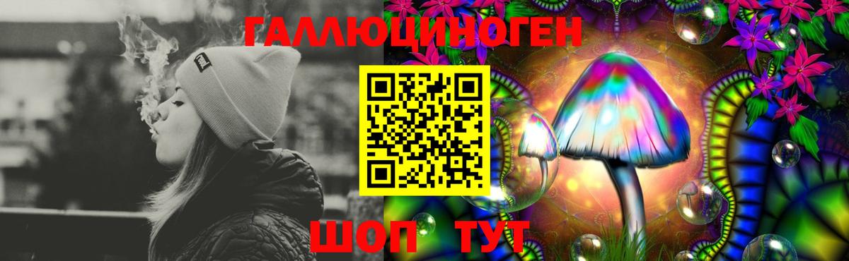Псилоцибиновые грибы мухоморы Майкоп