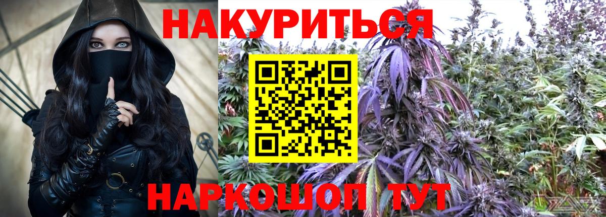 Конопля марихуана Майкоп